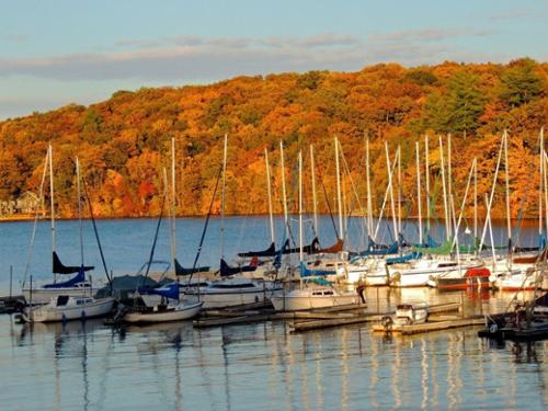 South Shore Marina in the fall.