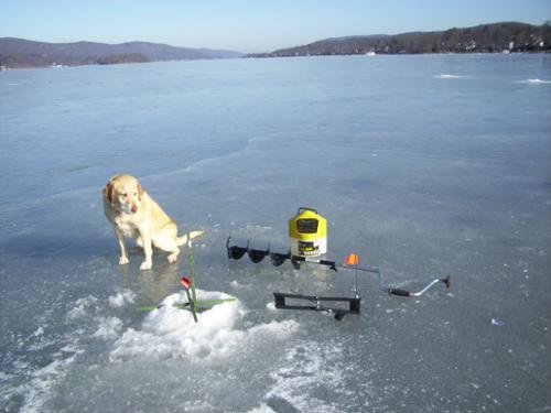 "I wonder if they have bone fish in Greenwood Lake?"